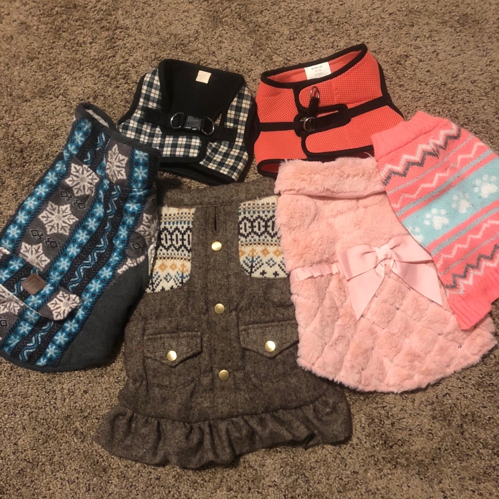 Dog clothing bundle